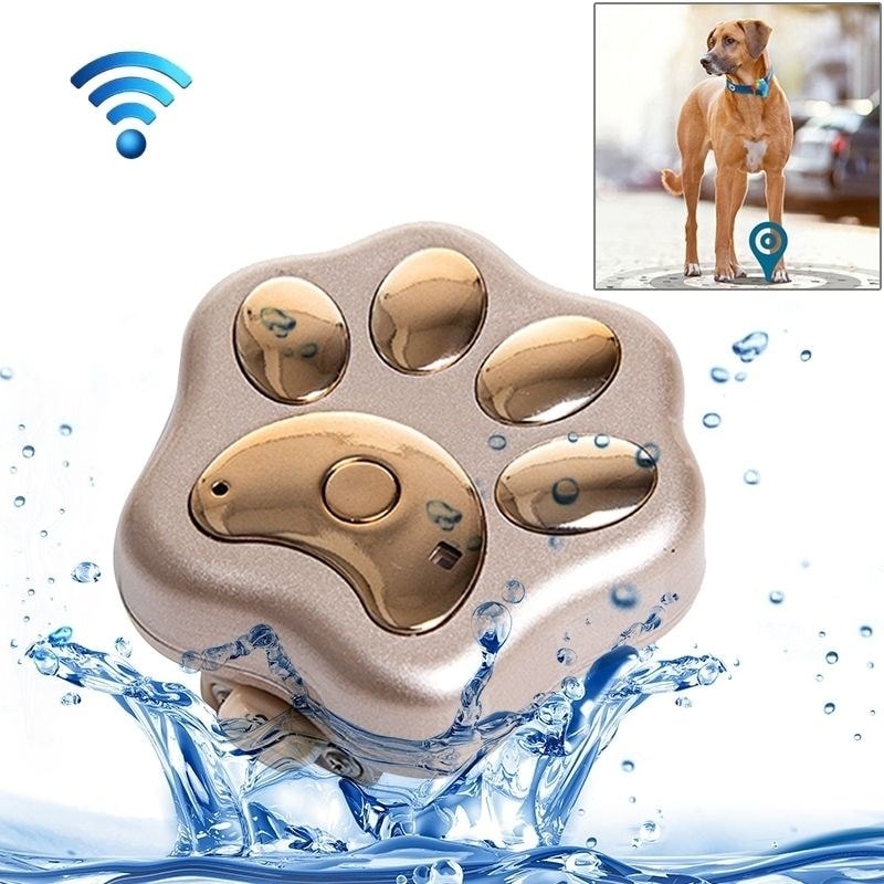 Collier GPS Pour Chien Chat iPhone Android iPhone Micro Espion Traceur  Antiperte Etanche IP66 WIFI Or YONIS
