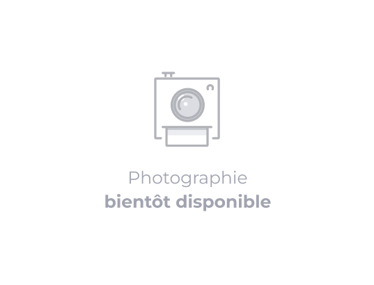 Multipack de cartouches d'encre Canon CLI-581 BK/C/M/Y — Boutique Canon  France