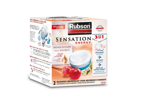 RUBSON 2 Recharges pour absorbeur d'humidité Bien Être 