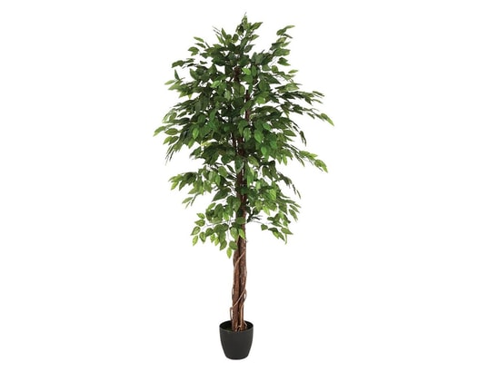 Plante Artificielle ''Ficus'' 180cm ATMOSPHERA Pas Cher - UBALDI.com