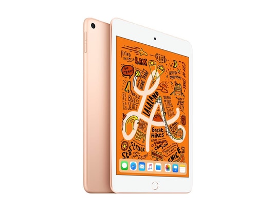 APPLE iPad mini 5 WiFi + Cellular 256Go - Or - iPad mini Pas Cher