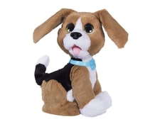 Chien Interactif Achat Vente Chien Interactif Pas Cher