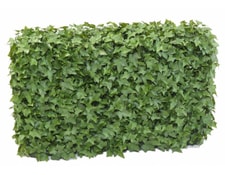 Plante artificielle haute gamme Spécial extérieur/ Haie Bambou artificiel  coloris vert - Dim : 150 x 45 x 110 cm