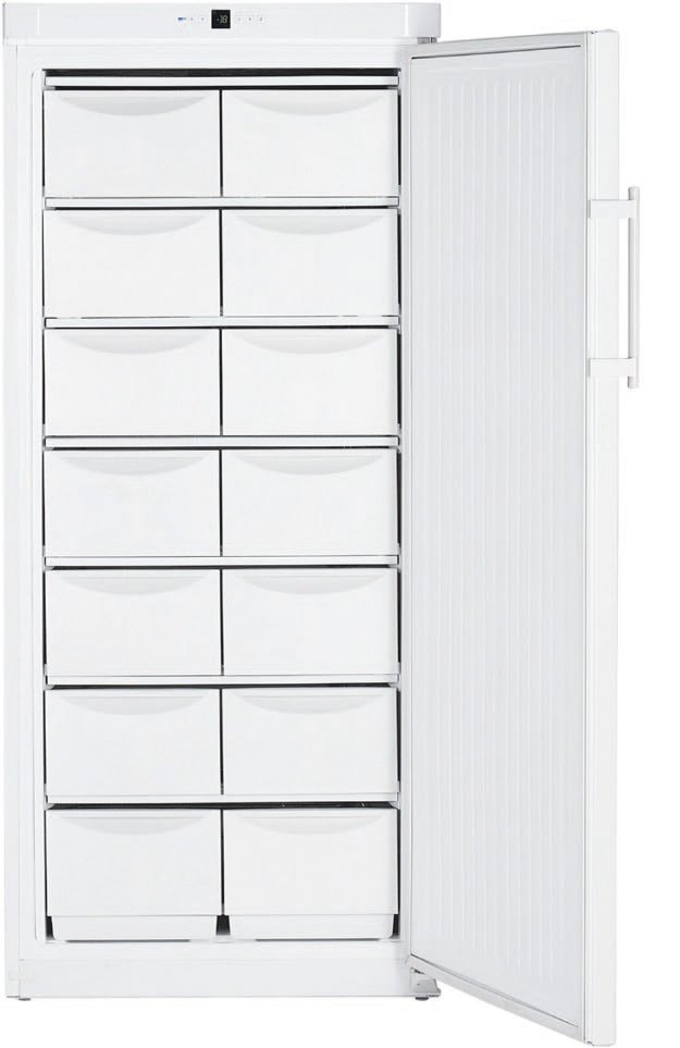 GPesf1476-21 LIEBHERR Congélateur armoire pas cher ✔️ Garantie 5 ans OFFERTE