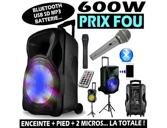 Enceinte sono karaoke mobile 12 - Bluetooth - 700W - Boomer LEDs RVB +  Micro VHF + Pied