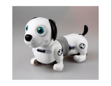 Dackel Junior Robot Chien Ycoo YCOO MA-11CA387DACK-PLMDP Dackel Junior Robot Chien Ycoo YCOO MA-11CA387DACK-PLMDP