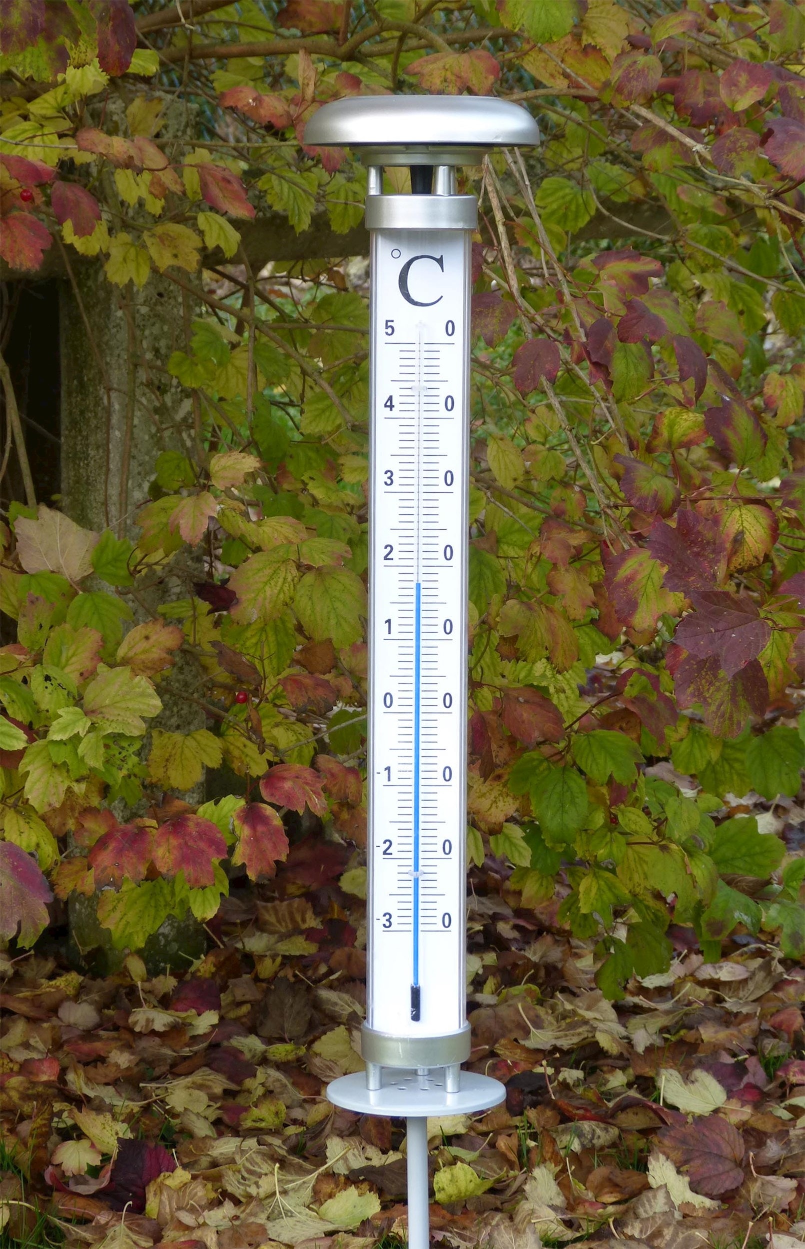 Thermometre jardin