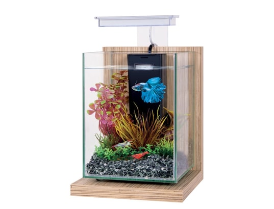 Kit aquarium avec support bois éclairage et filtre wiha ZOLUX