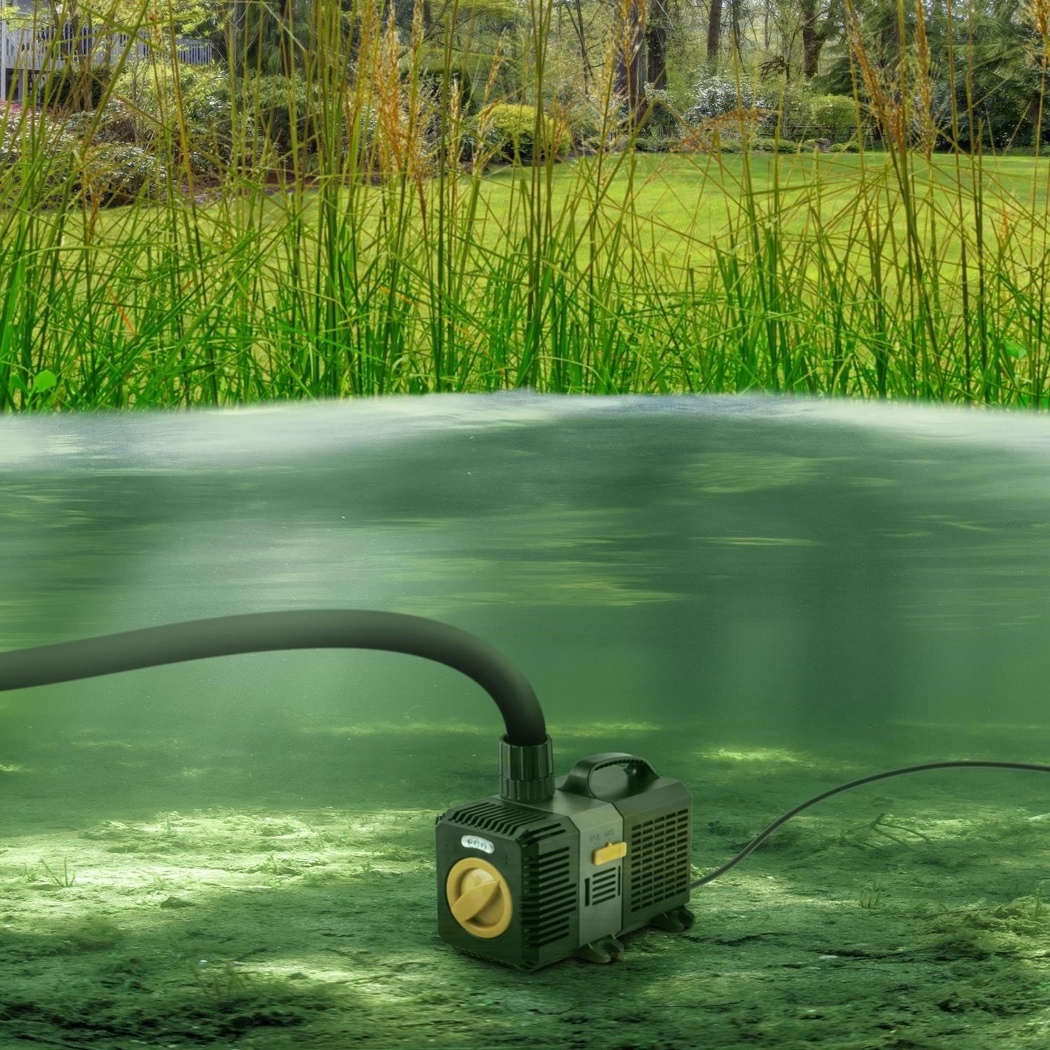 Waldbeck lagoon pompe d