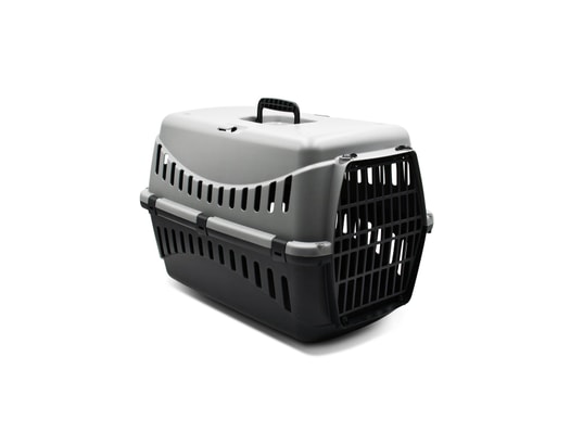 Caisse De Transport Pour Petit Chien Et Chat Taille S Gris Anthracite Poignee Sur Le Toit Construction Facile Alice S Garden Ma 10ca486cais Dazd0 Pas Cher Ubaldi Com