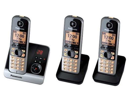 Panasonic Téléphone Fixe Sans Fil KX-TGE262GN 2 Unités Argenté