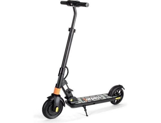 Trottinette électrique SURPASS Pro 2 Black Edition - 350W, Frein à Disque, 8 Pouces