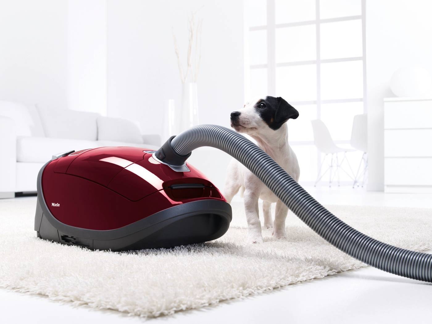 Miele Complete C3 Cat & Dog PowerLine Filtre Hepa pour aspirateur