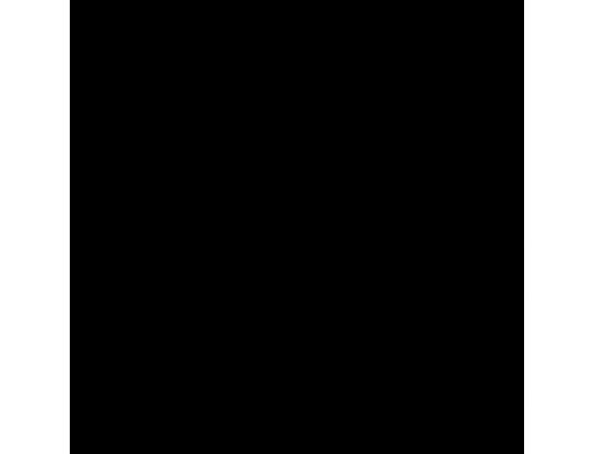 Peinture tableau craie noir mat MAISON DECO Gribouille 0.5 l