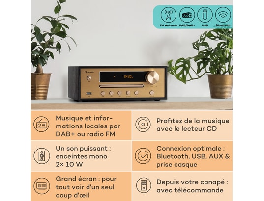 Chaine Hifi - Auna Berklee - Bluetooth - enceintes stéréo - FM MP3 USB -  entrée de ligne - Noir