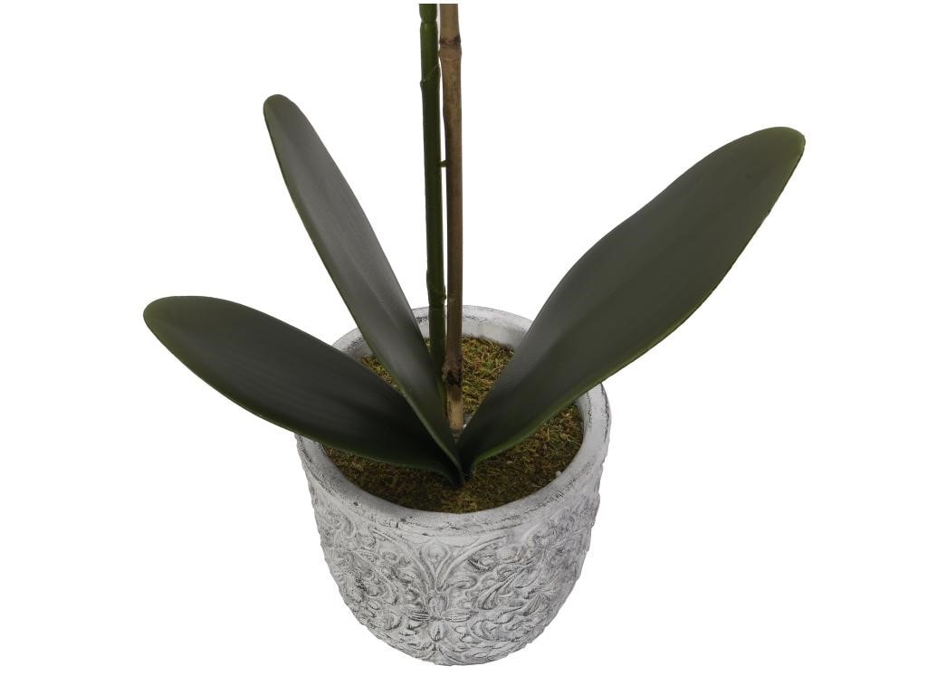 Plante artificielle Pot en verre sur support en bois H 12 cm