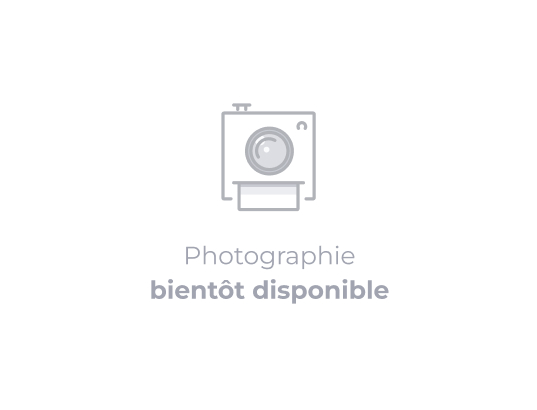 Cadeau entreprise luxe - Appareil photo Sony compact rose