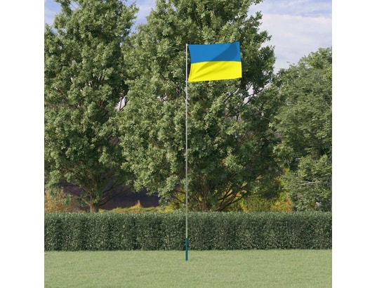 Mât de drapeau télescopique Argenté 5,55 m Aluminium vidaXL